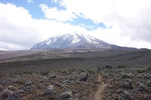 KILIMANJARO MACHAME 2002 TvM_215