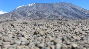 The terrain between Mawenzo and Kibo is classified as Alpine Desert